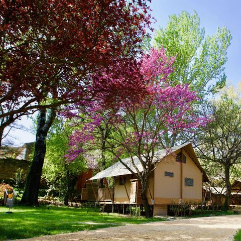 Lodge 6 persons - Lodge Prairie 30m² + 15m² mezzanine - 2 bedrooms - spa-kitchen - shower room