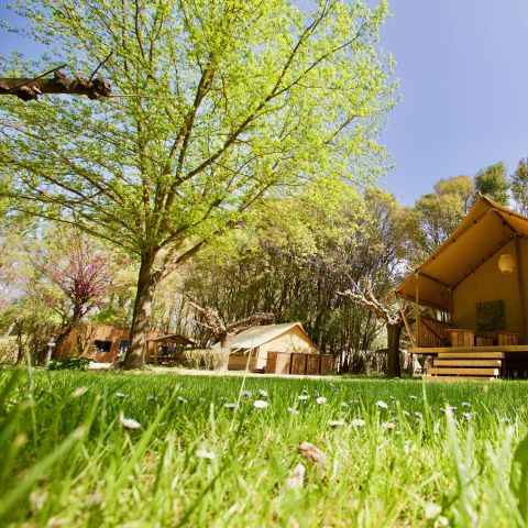 Lodge 4 persons - Lodge Essentiel 30m² + 15m² mezzanine - 2 bedrooms - kitchen - shower room