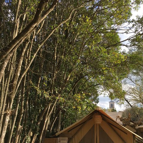 Lodge 3 persons - Lodge Central 24m² - 1 bedroom - kitchenette - shower room - Single-storey accommodation with PRM access