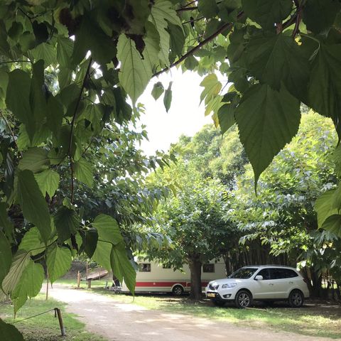 PIAZZOLA - 1 auto + 1 caravan + elettricità 10A