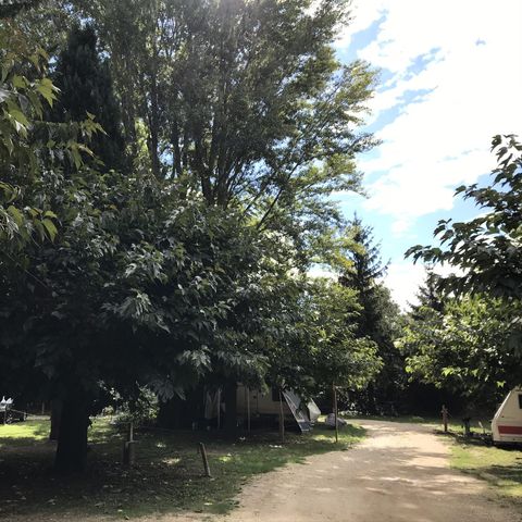 PIAZZOLA - 1 camper + elettricità 10A