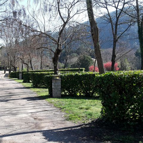 EMPLACEMENT - Emplacement + 1 voiture + tente, caravane ou camping-car