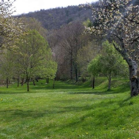 MOBILE HOME 3 people - ASTRIA CONFORT