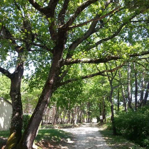 Stellplatz - Schattige Stellplätze 90-100m²