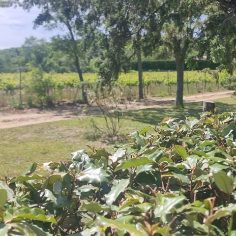 PIAZZOLA - Pacchetto : 1 piazzola + auto o camper 2/6 pers. + elettricità