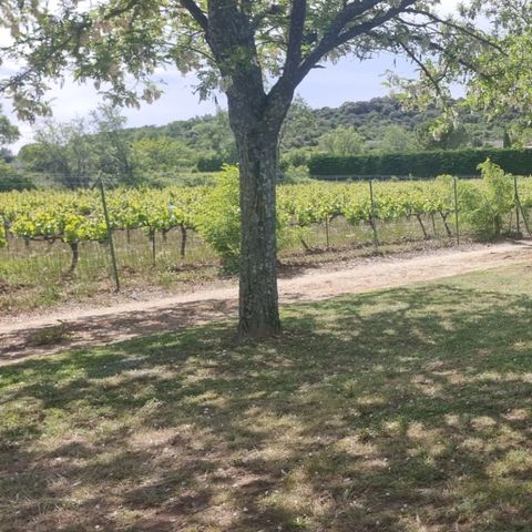 Pitch - Package : 1 standart pitch