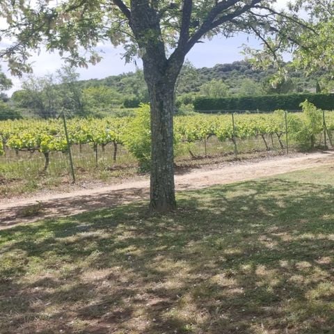 STAANPLAATS - Pakket : 1 standplaats