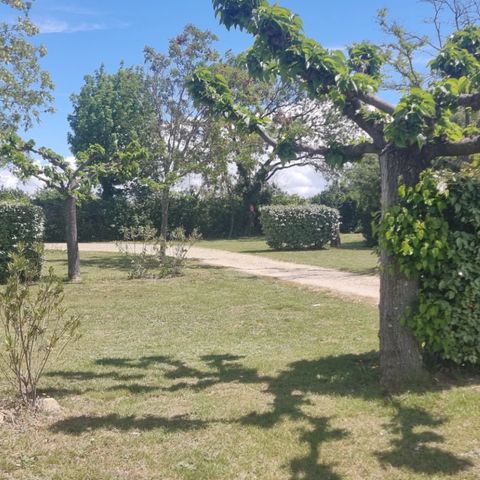 PIAZZOLA - Pacchetto SOLO: 1 piazzola 1per + moto o bicicletta