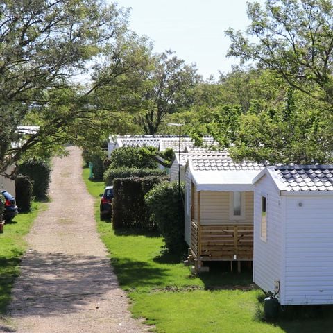 Camping Carrefour De L'Ardèche - Camping Ardèche - Afbeelding N°2