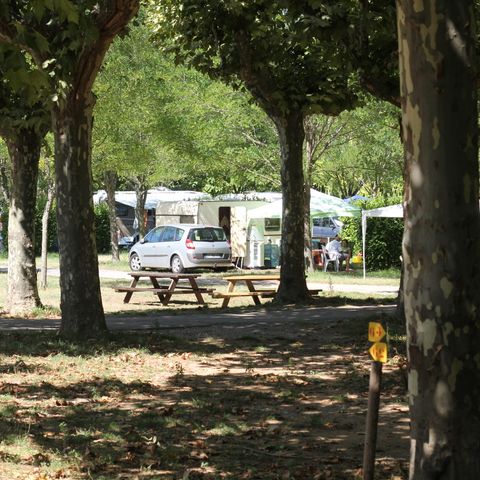 Kampeerplaats - Camping (tent + voertuig)
