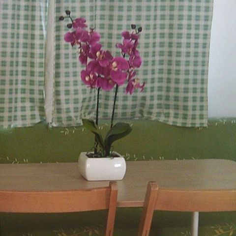 MOBILE HOME 4 people - Mobile home 4 persons