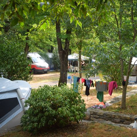 Stellplatz - Stellplatz Camping ( 1Fahrzeug, 1Zelt/Wohnwagen)