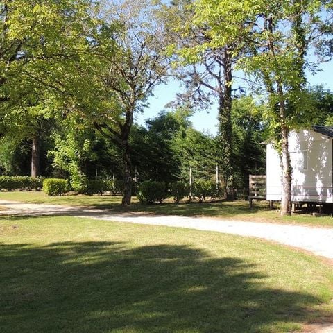 Pitch - GRAND CONFORT package: 1 tent, caravan or camper / 1 car / 10A electricity + water connection and waste water disposal / n°1-2-3-4 / /...