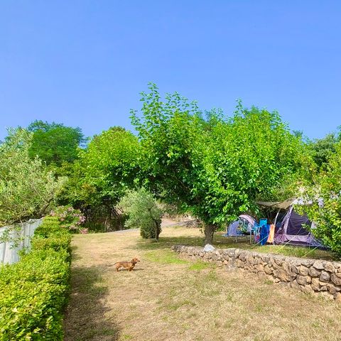 PARCELA - Parcela de camping