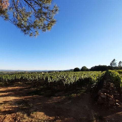 Camping Du Vignal - Camping Ardèche - Image N°6