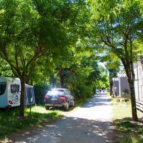 PARCELA - Estándar (100 m²)