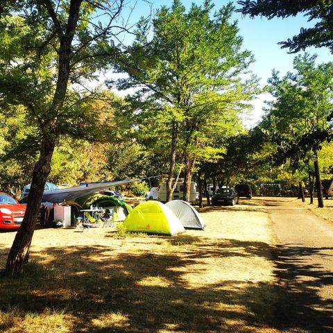 Kampeerplaats - 80m² tot ca. 200m²: auto + tent/caravan of camper