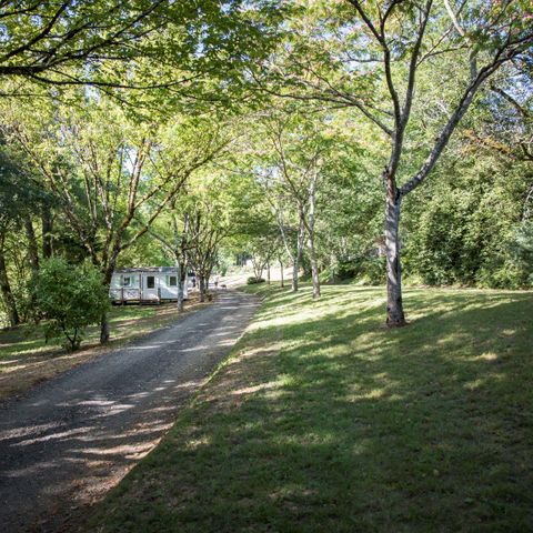 Stellplatz - Stellplatz (1 Zelt, Wohnwagen oder Wohnmobil/1 Auto)