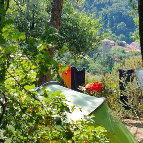 STAANPLAATS - Standplaats Plus 60-75m² : auto + tent/caravan of camper + elektriciteit 1 pers.