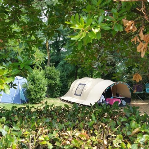 Kampeerplaats - Standplaats Plus 60-75m² : auto + tent/caravan of camper + elektriciteit 1 pers.
