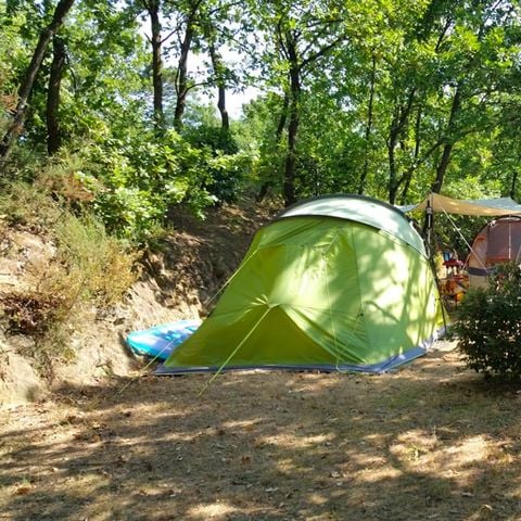 Kampeerplaats - Standplaats Plus 60-75m² : auto + tent/caravan of camper + elektriciteit 1 pers.