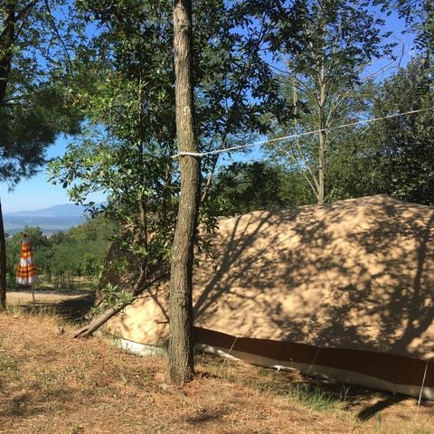 Kampeerplaats - Maxi Standplaats 80-100m² : auto + tent/caravan of camper + elektriciteit 1 pers.