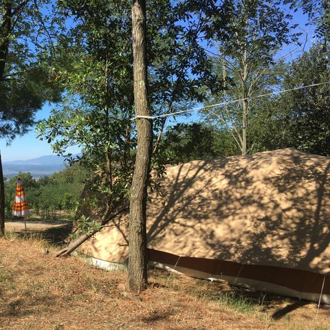 STAANPLAATS - Maxi Standplaats 80-100m² : auto + tent/caravan of camper + elektriciteit 1 pers.