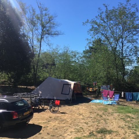 PLOT - Exclusive Pitch 136-180m² : car + tent/caravan or camper + electricity