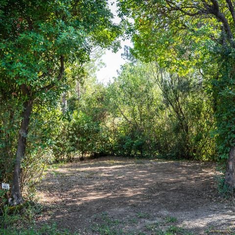 Stellplatz - Standard Wohnmobil / Wohnwagen / Zelt