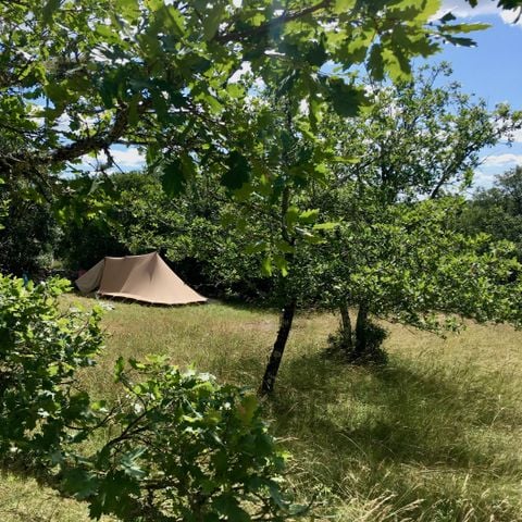 Kampeerplaats - Kale staanplaats + tent (geen caravans of campers)