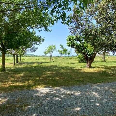 EMPLACEMENT - Forfait Emplacement (100m²)