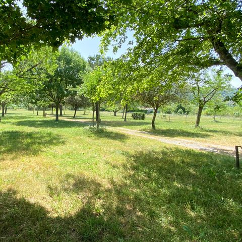 PLOT - Pitch package (100m²)