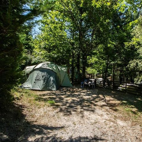 Pitch - Privilege XL