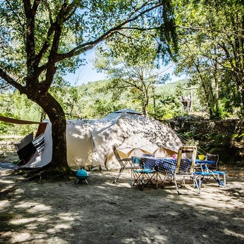 Pitch - Privilege XL