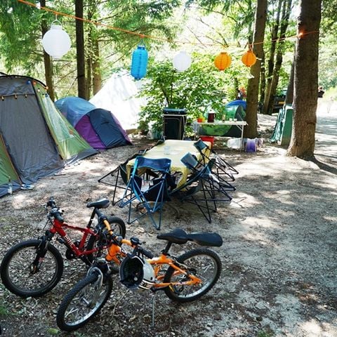 Stellplatz - Stellplatz Confort Foret