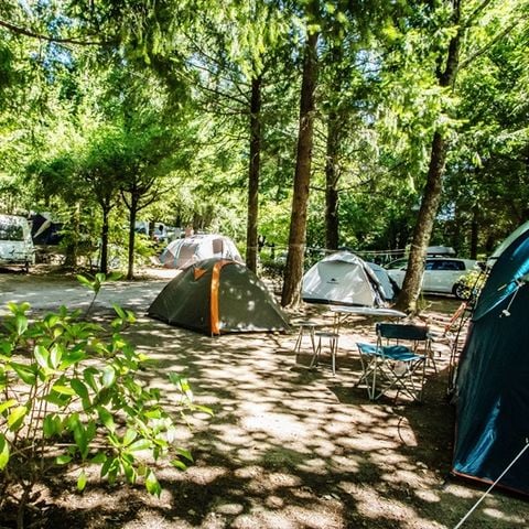 Stellplatz - Stellplatz Confort Foret