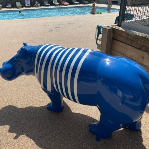 Camping de la Dune - Camping Gironde - Image N°6