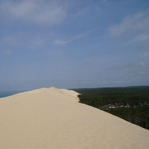 Camping de la Dune - Camping Gironde - Image N°3