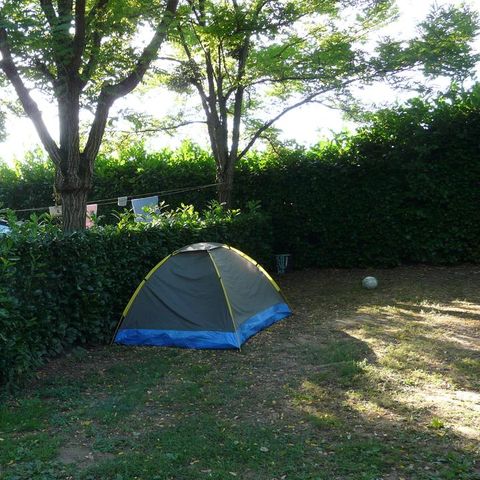 Pitch - Nature package (1 tent, caravan or camper / 1 car)