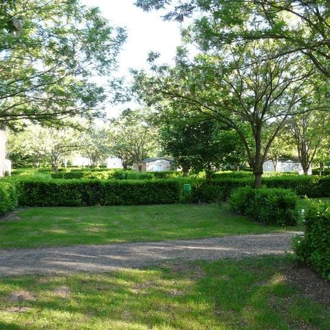 EMPLACEMENT - Forfait Nature (1 tente, caravane ou camping-car / 1 voiture)