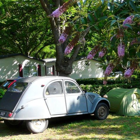 EMPLACEMENT - Forfait Nature (1 tente, caravane ou camping-car / 1 voiture)