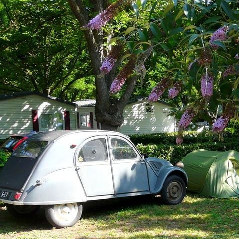 Stellplatz - Forfait Nature (1 Zelt, Wohnwagen oder Wohnmobil / 1 Auto)