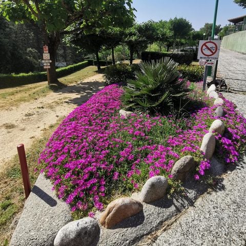 PIAZZOLA - Piazzola 2 pers