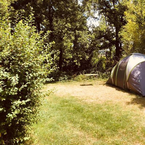 PLOT - Hiker's package (on foot or by bike / 1 tent without electricity)