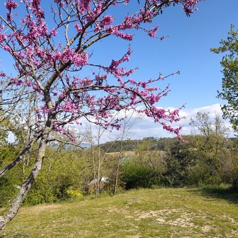 EMPLACEMENT - Forfait Randonneur (à pied ou à vélo / 1 tente sans électricité)