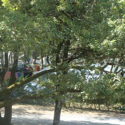 Kampeerplaats - Kale site