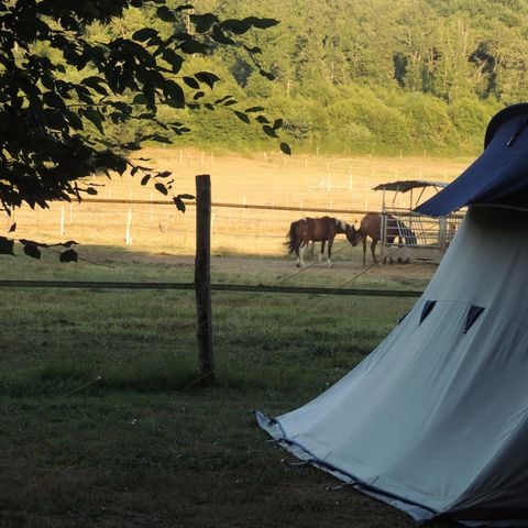 Emplacement - Forfait Privilège (1 tente, caravane ou camping-car / 1 voiture / électricité 10A) vue sur nature