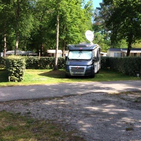 STAANPLAATS - Comfortpakket (1 tent, caravan of camper / 1 auto / 15A elektriciteit)