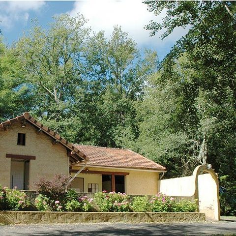 PLOT - Comfort Package: Pitch + 1 car + tent, caravan or motor home + electricity