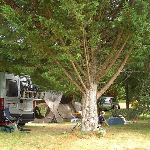 STAANPLAATS - Camping